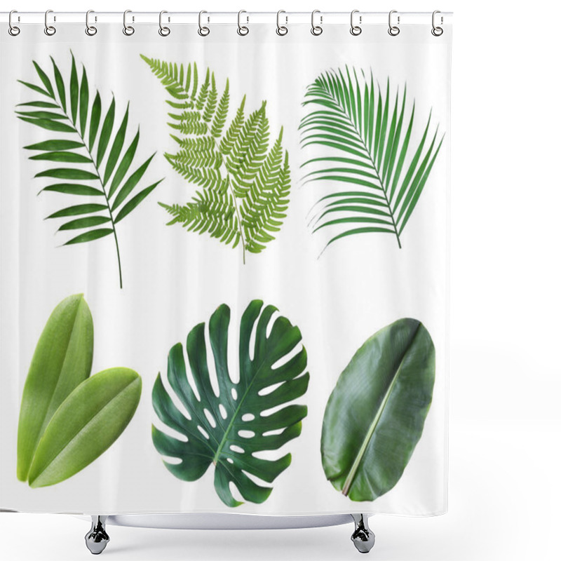 Personality  Set With Beautiful Fern And Other Tropical Leaves On White Background  Shower Curtains