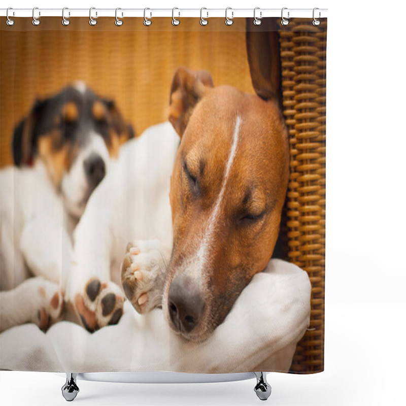 Personality  Couple Of Two Dogs In Love Shower Curtains