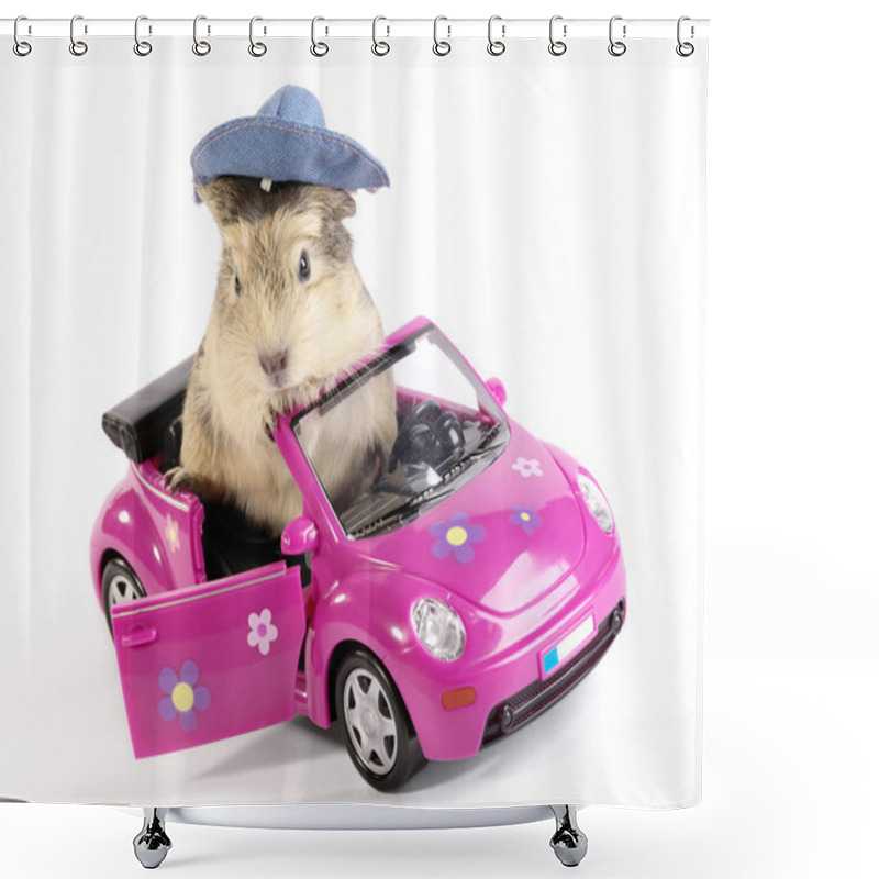 Personality  Shaggy Driver. Guinea Pig In The Funny P Shower Curtains