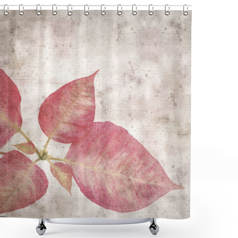 Personality  Square Stylish Old Textured Paper Background With Pink Poinsettia Leaves  Shower Curtains