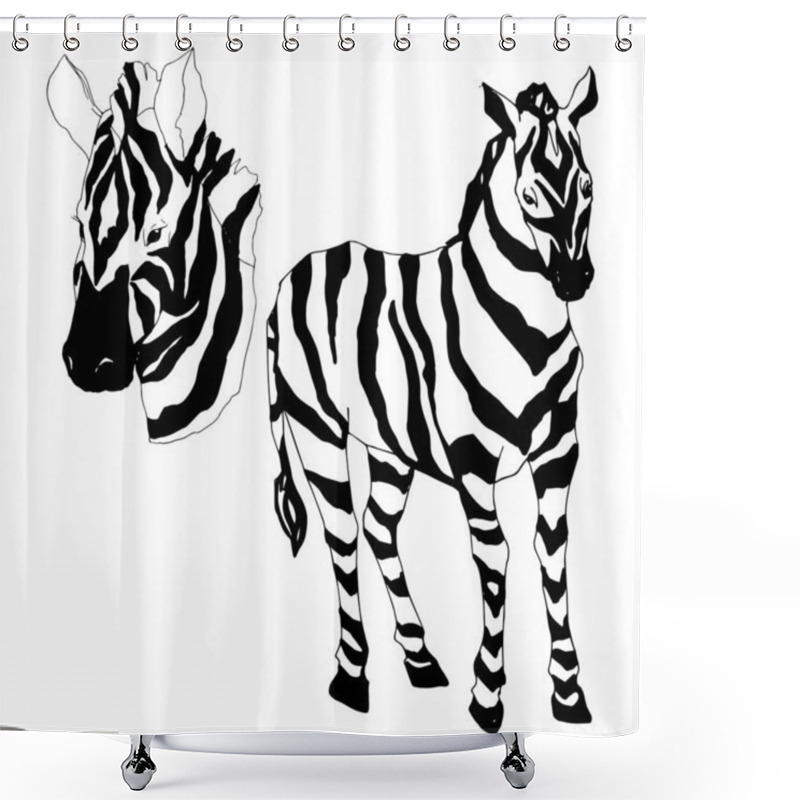 Personality  Vector Exotic Zebra Wild Animal Isolated. Black And White Engraved Ink Art. Isolated Animal Illustration Element. Shower Curtains