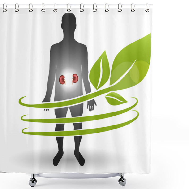 Personality  Renal Heatlh Care Concept. Human And Kidneys Surrounded By Green Shower Curtains