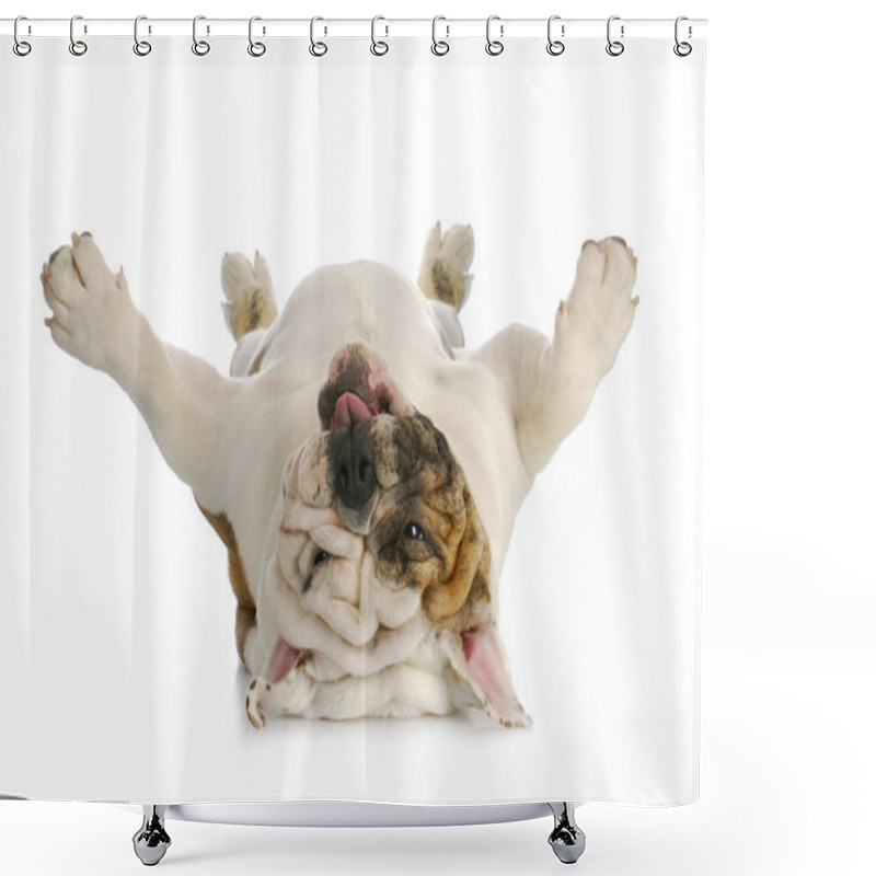 Personality  Dog Upside Down Shower Curtains