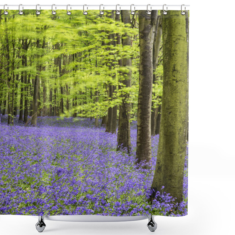 Personality  Vibrant Bluebell Carpet Spring Forest Landscape Shower Curtains