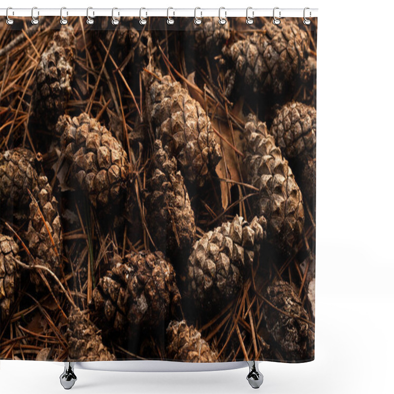 Personality  Pine Cones Scattered On A Forest Floor Covered With Fallen Pine Needles. A Natural Woodland Scene With Earthy Tones, Organic Textures, And A Tranquil Atmosphere, Capturing The Beauty Of Nature's Details. Shower Curtains