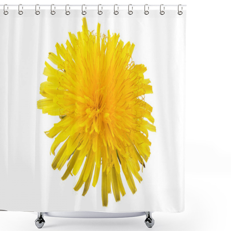 Personality  Yellow Dandelion Shower Curtains