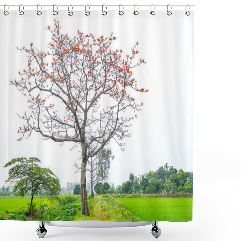 Personality  The Beautiful Bombax Ceiba Tree Blooms In Spring. This Flower Works As A Medicine To Treat Inflammation, Detoxification, Antiseptic, Blood Circulation Is Very Useful For Human Health Shower Curtains