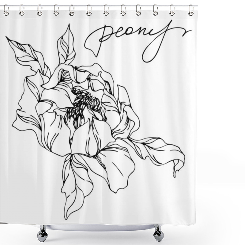 Personality  Peony Floral Botanical Flowers. Black And White Engraved Ink Art. Isolated Peonies Illustration Element. Shower Curtains