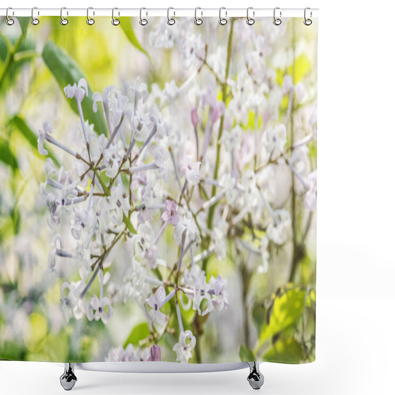 Personality  Blossoming Syringa Lilac Bush, Natural Scene Shower Curtains