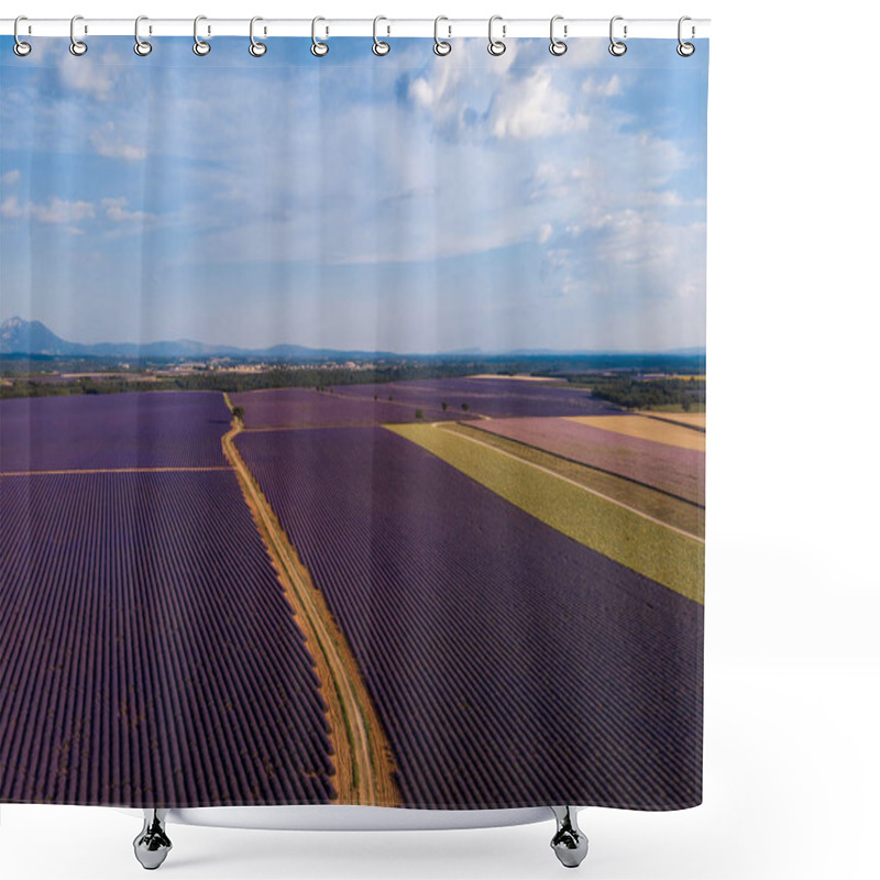 Personality  Cultivated Shower Curtains