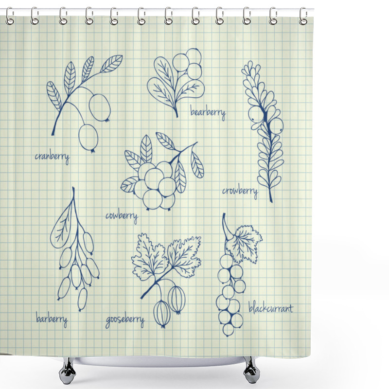 Personality  Set Of Garden And Wild Hand-drawn Sketch Berries Shower Curtains