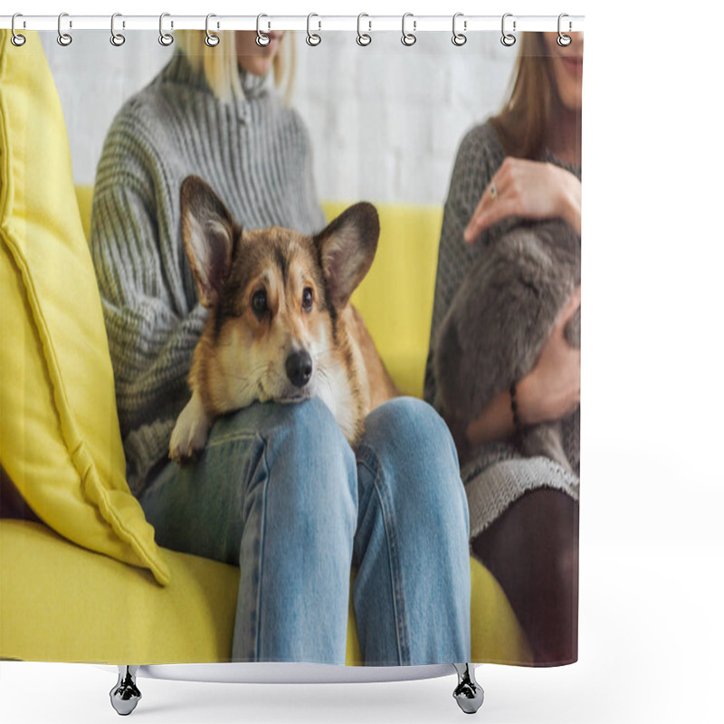 Personality  Cropped Shot Of Woman Sitting On Couch And Carrying Adorable Corgi Dog While Her Friend Holding Cat Shower Curtains