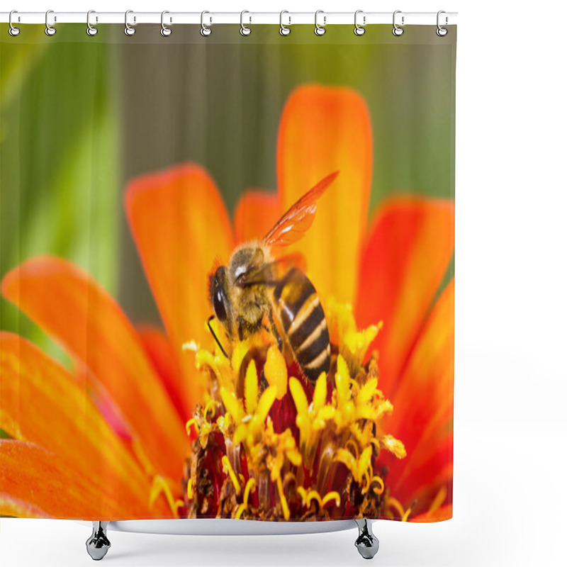 Personality  Orange Flower And Busy Honey Bee Shower Curtains