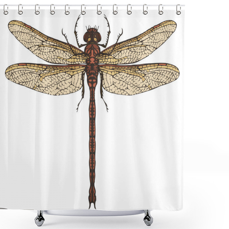 Personality  Realistic Dragonfly Close Up Top View Shower Curtains