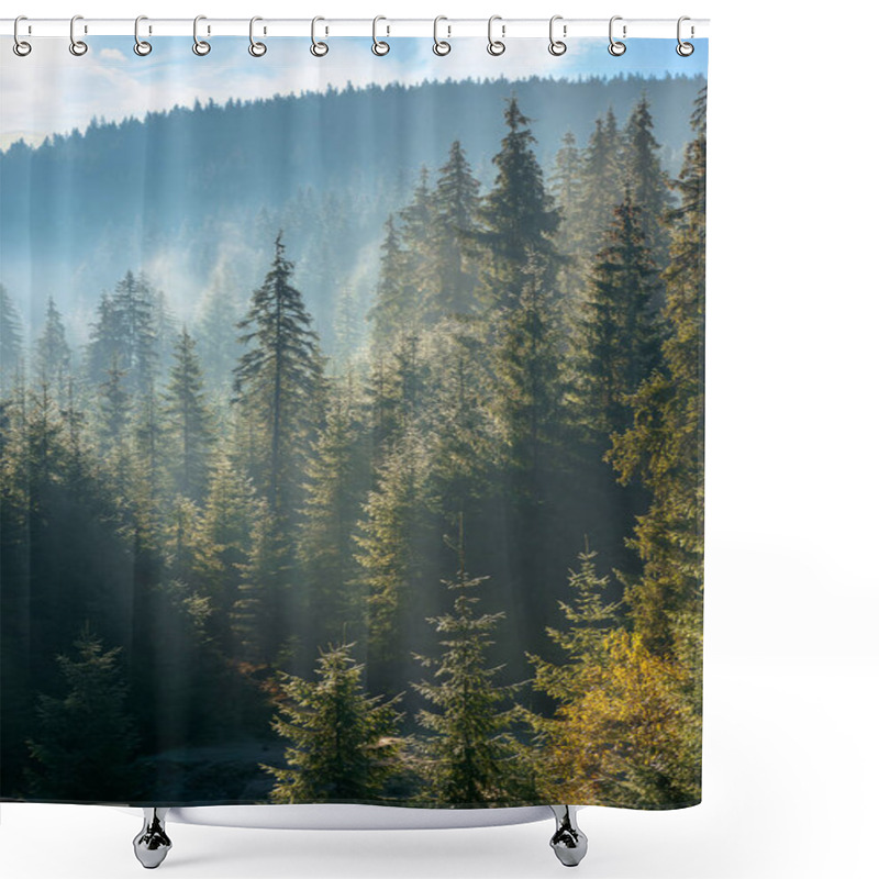 Personality  Coniferous Forest At Foggy Sunrise. Trees At The Foot Of A Hill In Morning Light. Blue Sky With Fluffy Clouds. Idyllic Countryside Scenery Shower Curtains