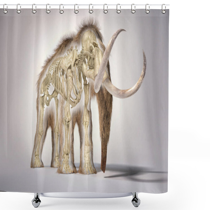 Personality  Woolly Mammoth With Skeleton, Perspective Frontal View. Shower Curtains