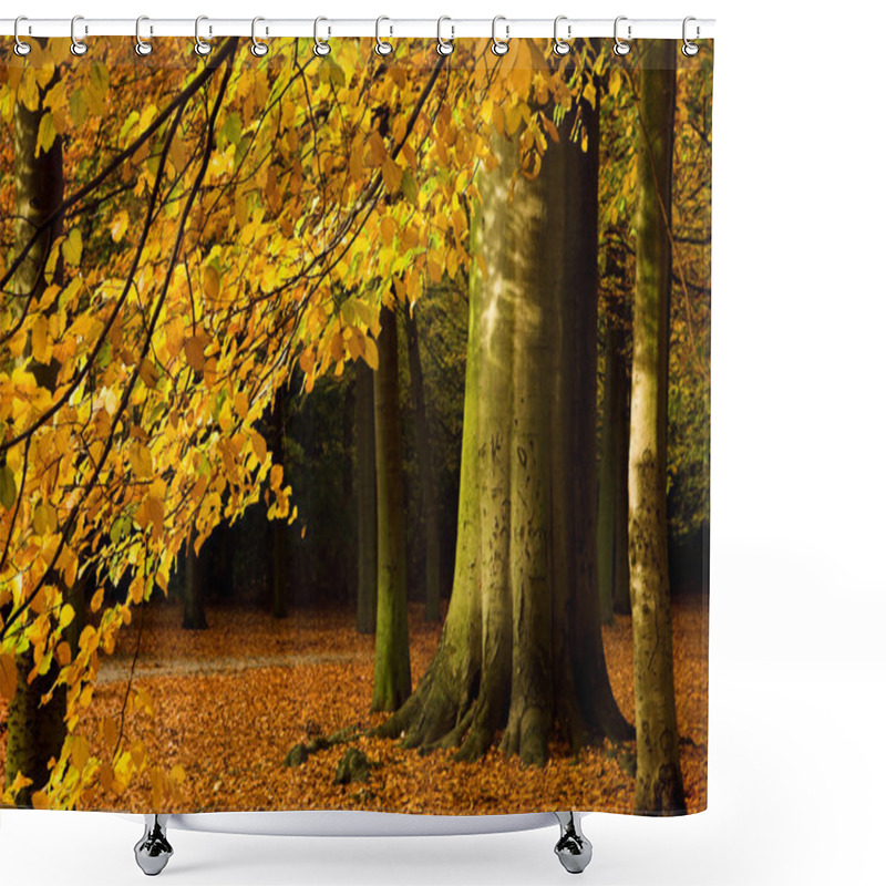 Personality  Autumn Branch Shower Curtains