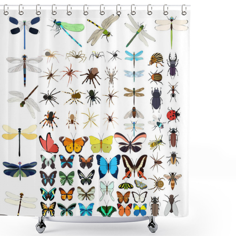 Personality  Vector Isolated, Insects Set Shower Curtains