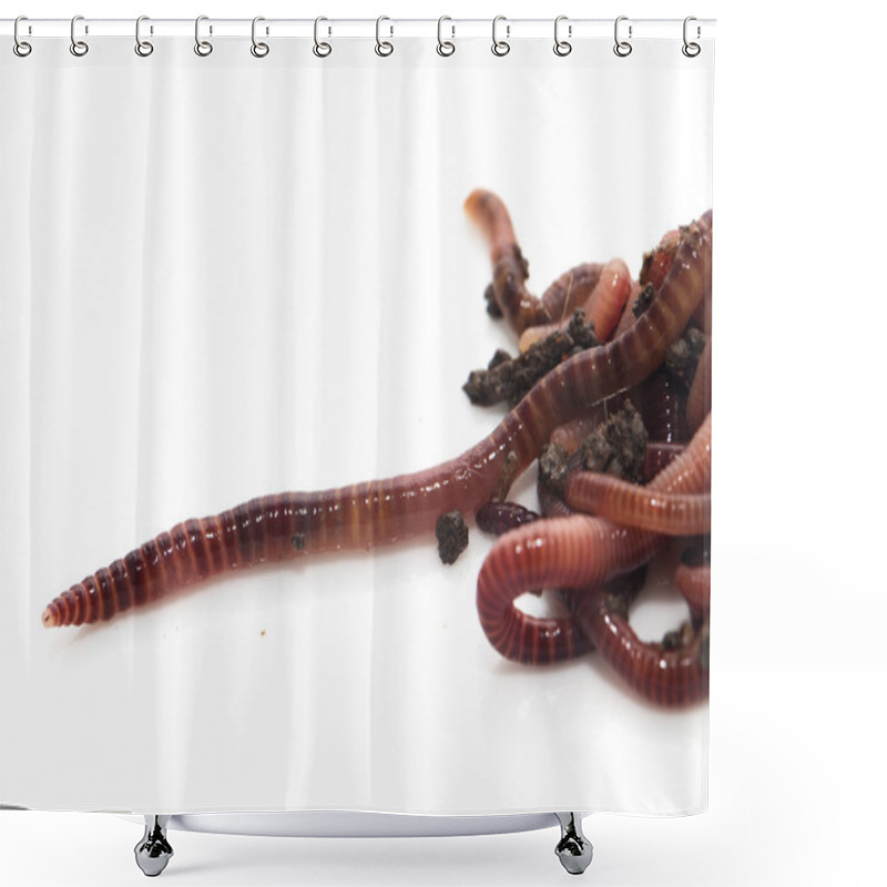 Personality  Nature Shower Curtains