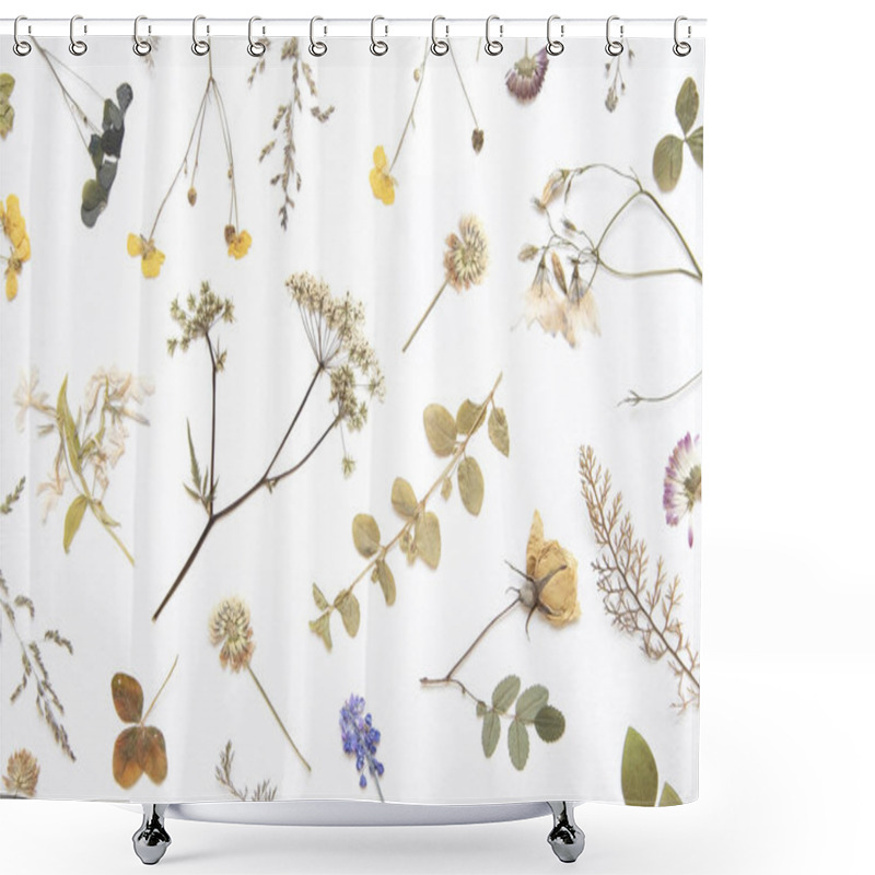 Personality  Various Dried Flowers And Herbs On White. Flat Lay. Shower Curtains