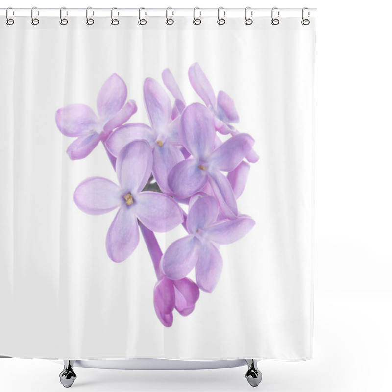 Personality  Beautiful Violet Lilac Blossom Isolated On White Shower Curtains