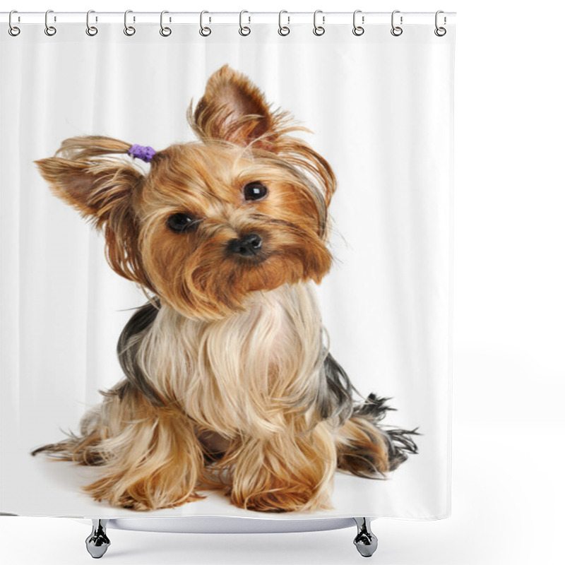 Personality  Yorkshire Terrier Shower Curtains