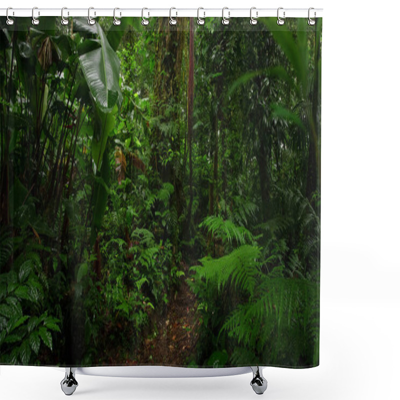 Personality  Tropical Rainforest In Costa Rica Shower Curtains