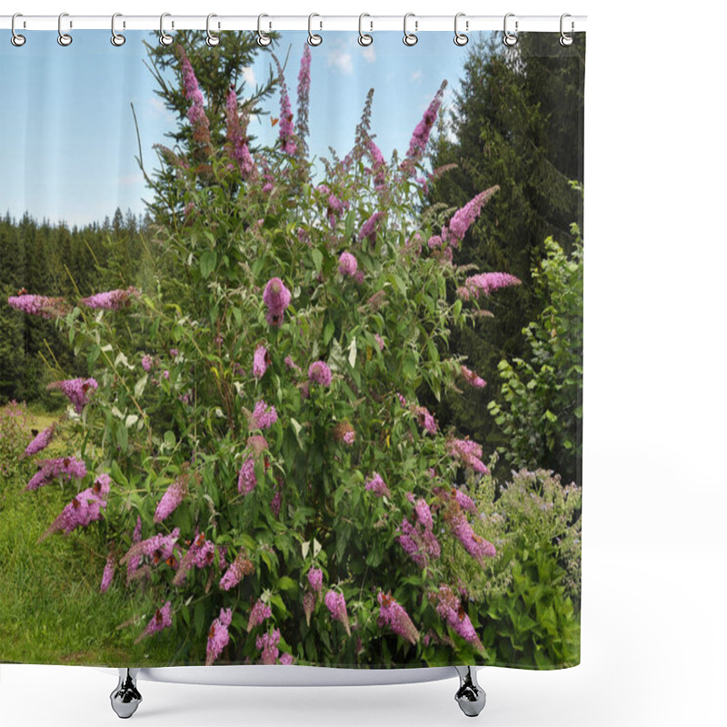 Personality  Butterfly Bush With Many Butterflies In The Garden Shower Curtains