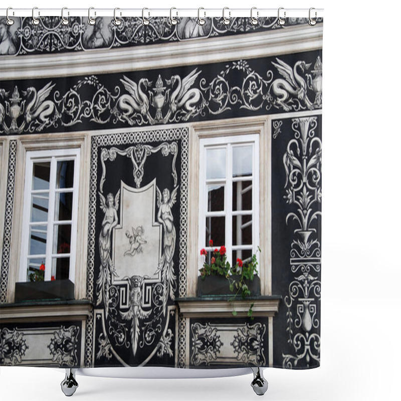 Personality  Gothic Windows Shower Curtains