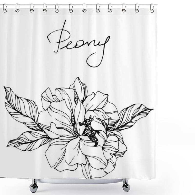 Personality  Vector Peony. Wildflower Isolated On White. Engraved Ink Art With 'peony' Lettering Shower Curtains