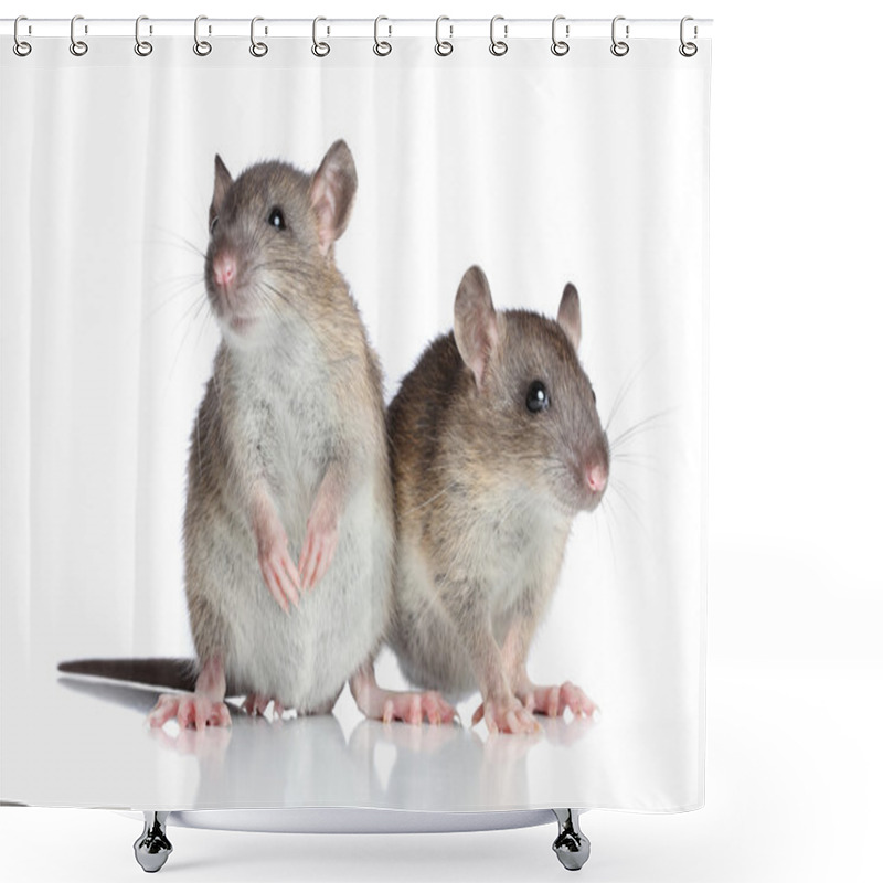 Personality  Rats On White Background Shower Curtains