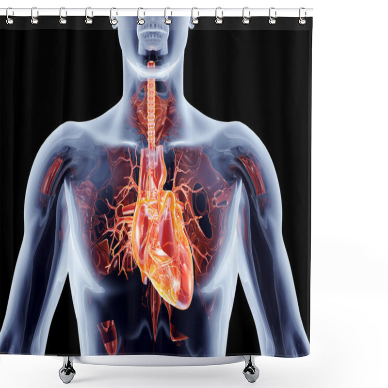 Personality  Internal Organs - Heart Shower Curtains