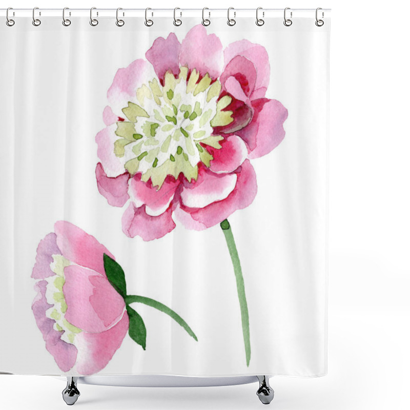 Personality  Beautiful Pink Peony Flowers Isolated On White Background. Watercolour Drawing Fashion Aquarelle. Isolated Peony Flowers Illustration Element. Shower Curtains