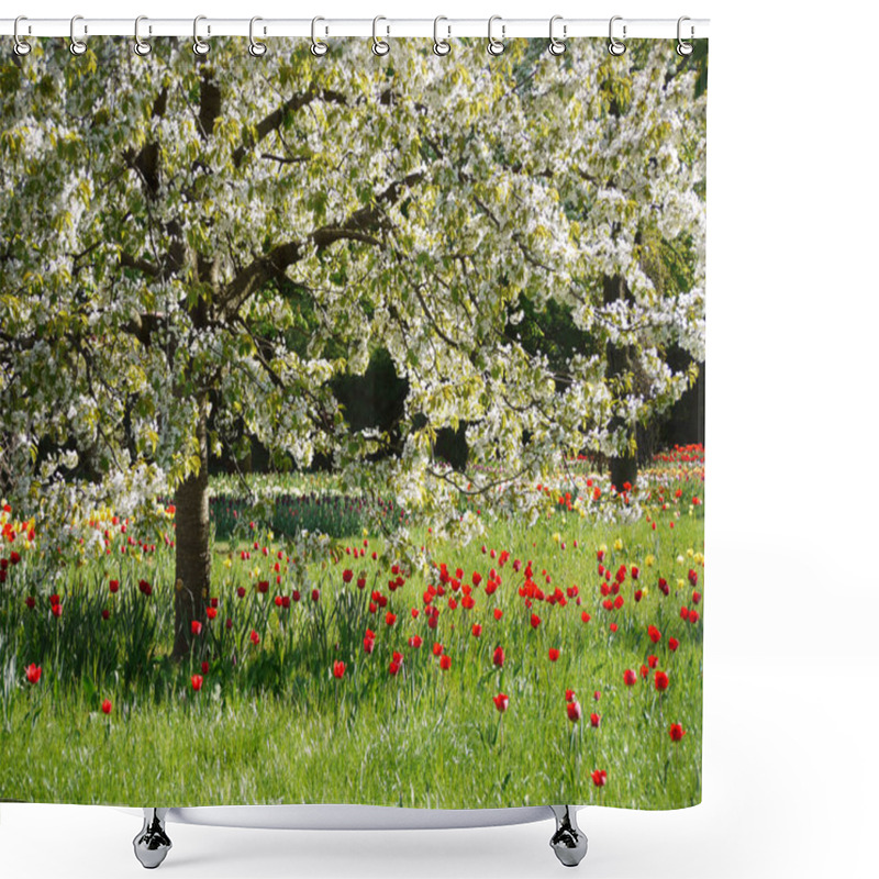 Personality  Tulip Flowers Petals, Spring Flora Shower Curtains