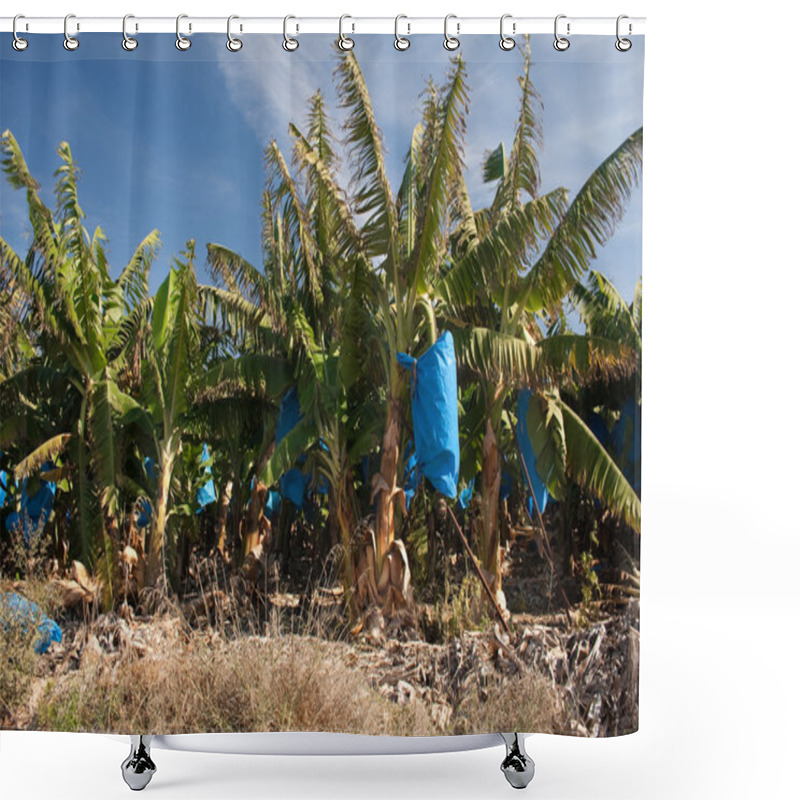 Personality  Tropical Bananas Shower Curtains