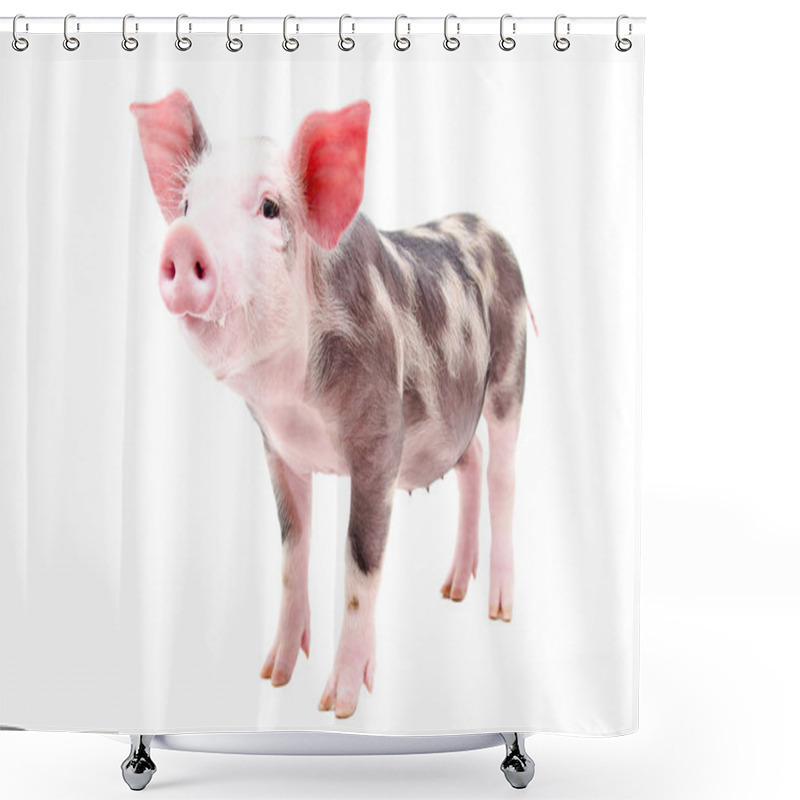 Personality  Funny Little Pig Shower Curtains