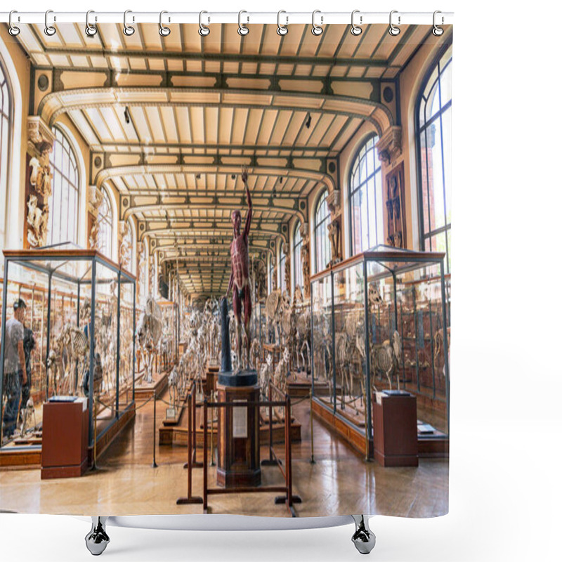 Personality  Gallery Of Paleontology And Comparative Anatomy In Museum Of Natural History Shower Curtains