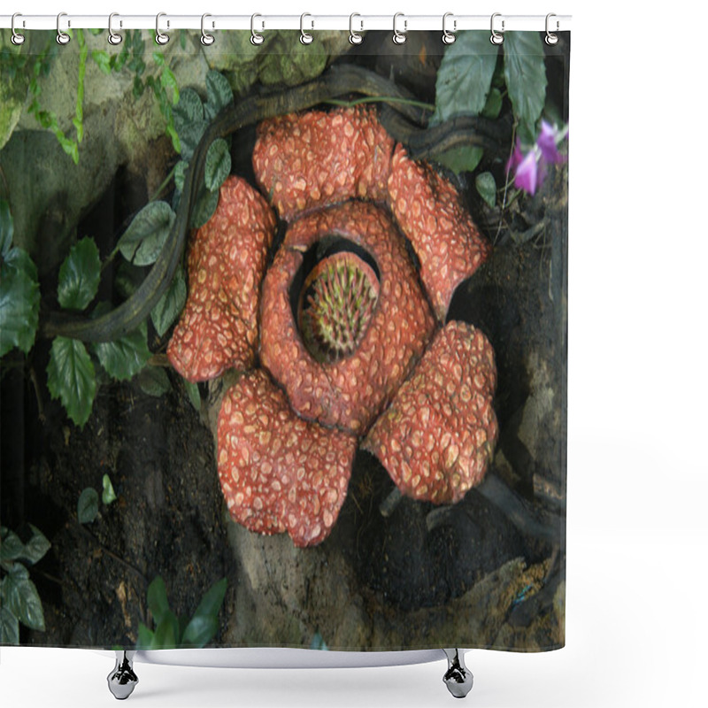 Personality  Rafflesia Shower Curtains