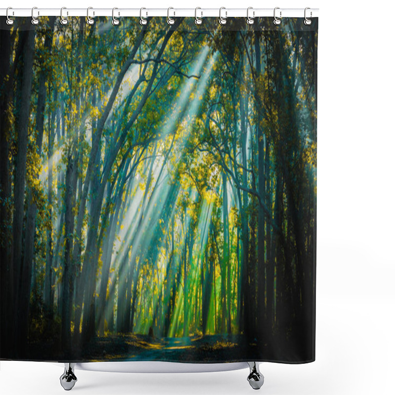 Personality  Road To Home. Sunrays With Mist Appearing Shower Curtains