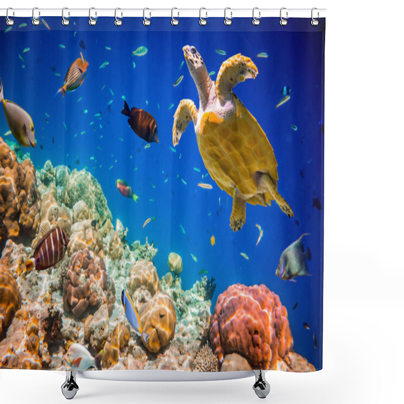 Personality  Eretmochelys Imbricata Shower Curtains