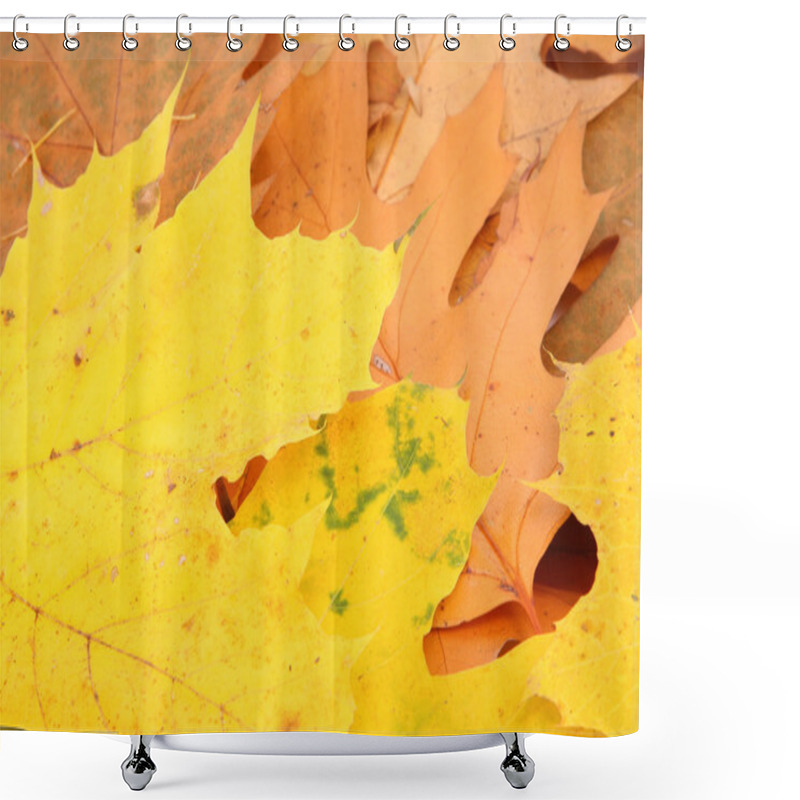 Personality  Leafy Background Shower Curtains