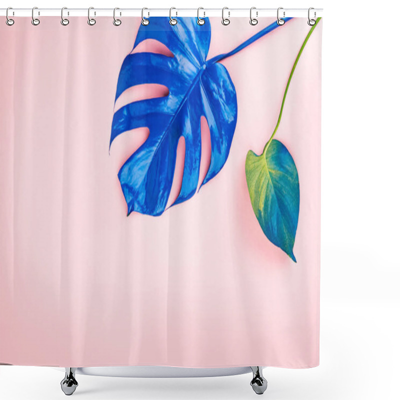 Personality  Two Blue Leaves Of Plant. Shower Curtains