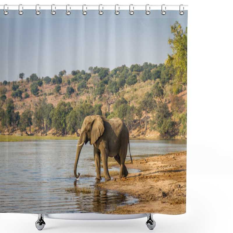 Personality  Beautiful Elephant In Chobe National Park Shower Curtains