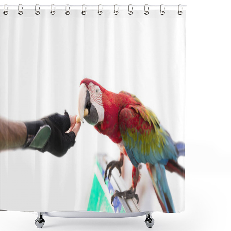 Personality  Man Giving A Nut To A Parrot. Shower Curtains