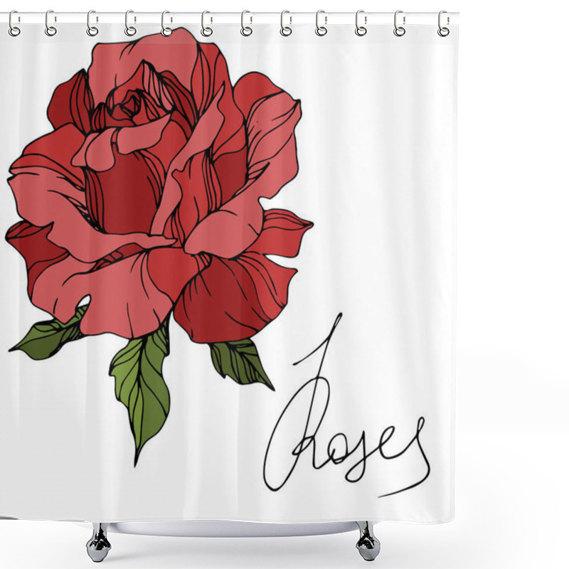 Personality  Vector Red Rose Flower With Green Leaves Isolated On White Background. Engraved Ink Art. Shower Curtains