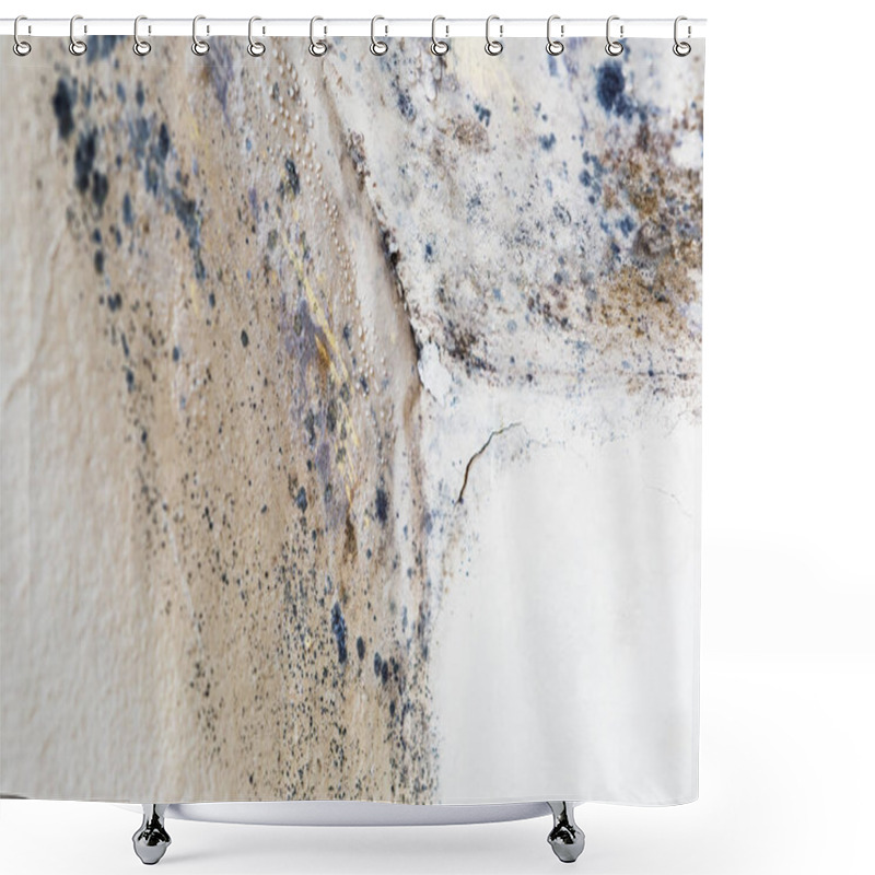 Personality  Moisture And Mold -Problems In A House Shower Curtains