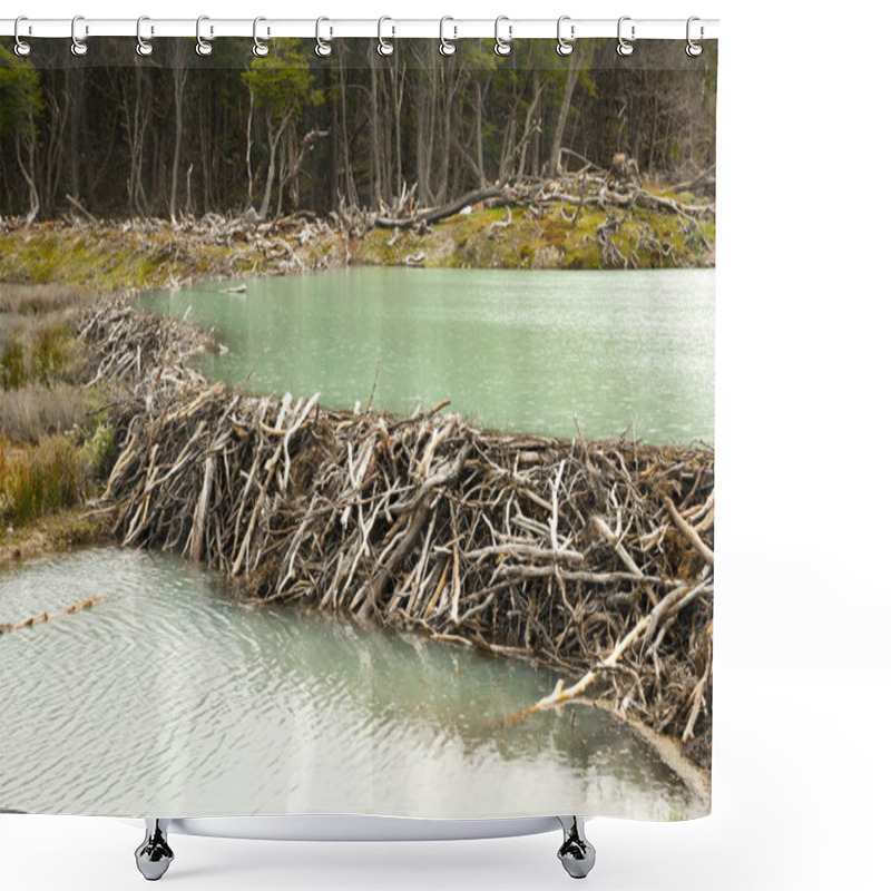 Personality  Beaver Dam - Tierra Del Fuego - Argentina Shower Curtains