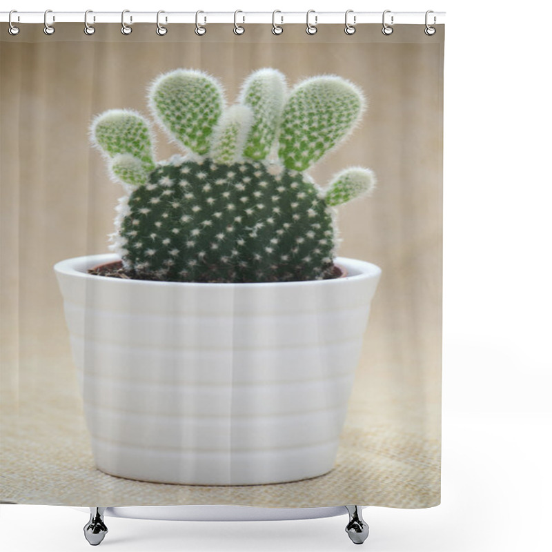 Personality  Bunny Ears Cactus (Opuntia Microdasys) Shower Curtains