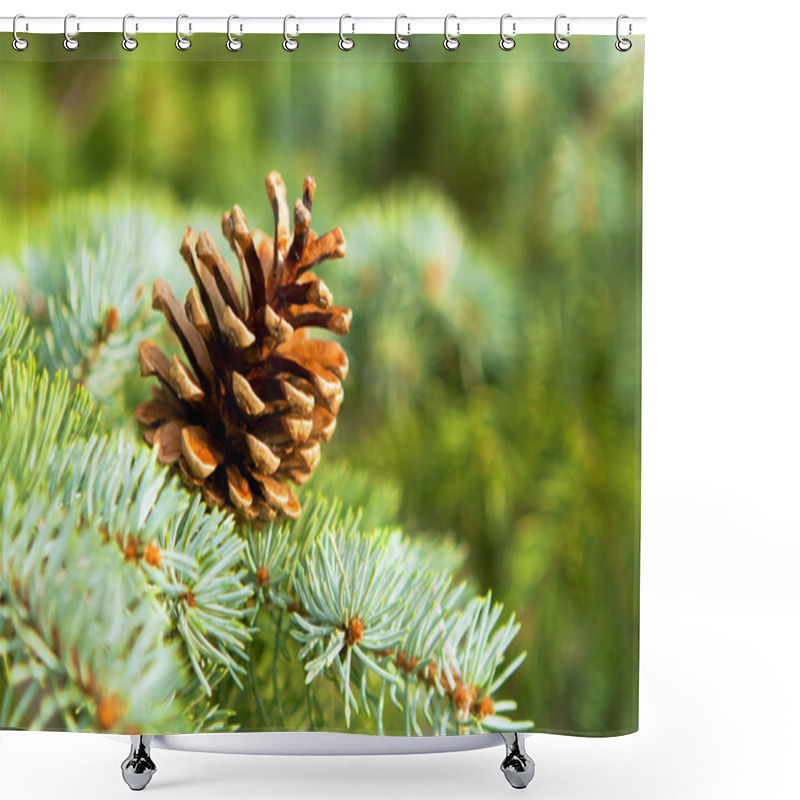 Personality  Pine Cones, Of Its Branches. Shower Curtains