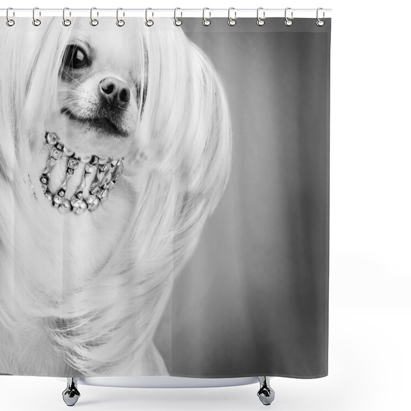 Personality  Purebred Chihuahua Dog Shower Curtains